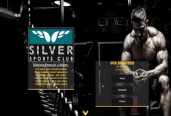 best website designing in pune wakad india